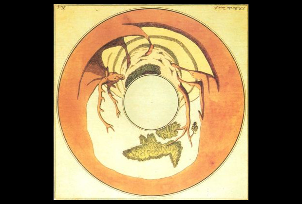 The Magic Mirror Anamorphosis von Antiquus